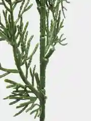 Лесной зеленый ветки ели искусственные