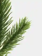 Салатовый ветки ели искусственные
