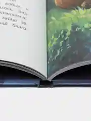 Сказки о Лапландии