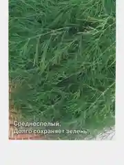Укроп "Пучковый", 2 г, СеДек