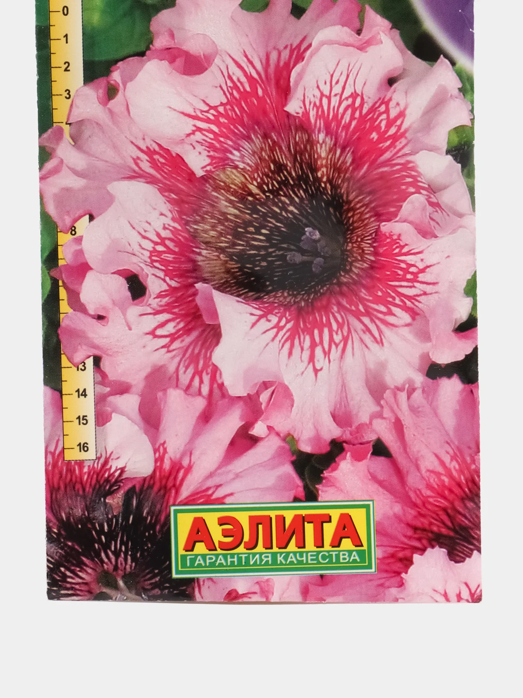 Петуния Триумф, крупноцветковая, розовая, 10 штук, Аэлита