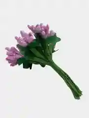 Аметистовый тычинки для рукоделия ,ягоды в пучке