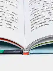 Детектив Масявочкина. Дело №1: О пропавшем снеге