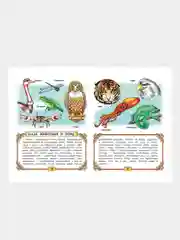 Книга для детей "Первая книга знаний. Учись, малыш!" детская энциклопедия