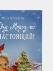 А Дед Мороз-то ненастоящий!