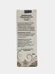 Бирюзовый бальзам для губ Aasha Herbals, кокос, миндаль, аргана, защитный, питательный