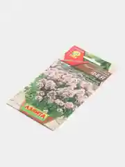 Семена, душица обыкновенная "Фея"