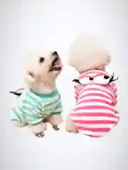 Розовый свитер/кофта для собак