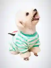 Розовый свитер/кофта для собак