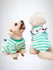 Розовый свитер/кофта для собак