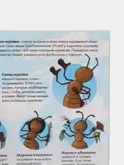 Книга "Муравей - удивительное творение Аллаха"