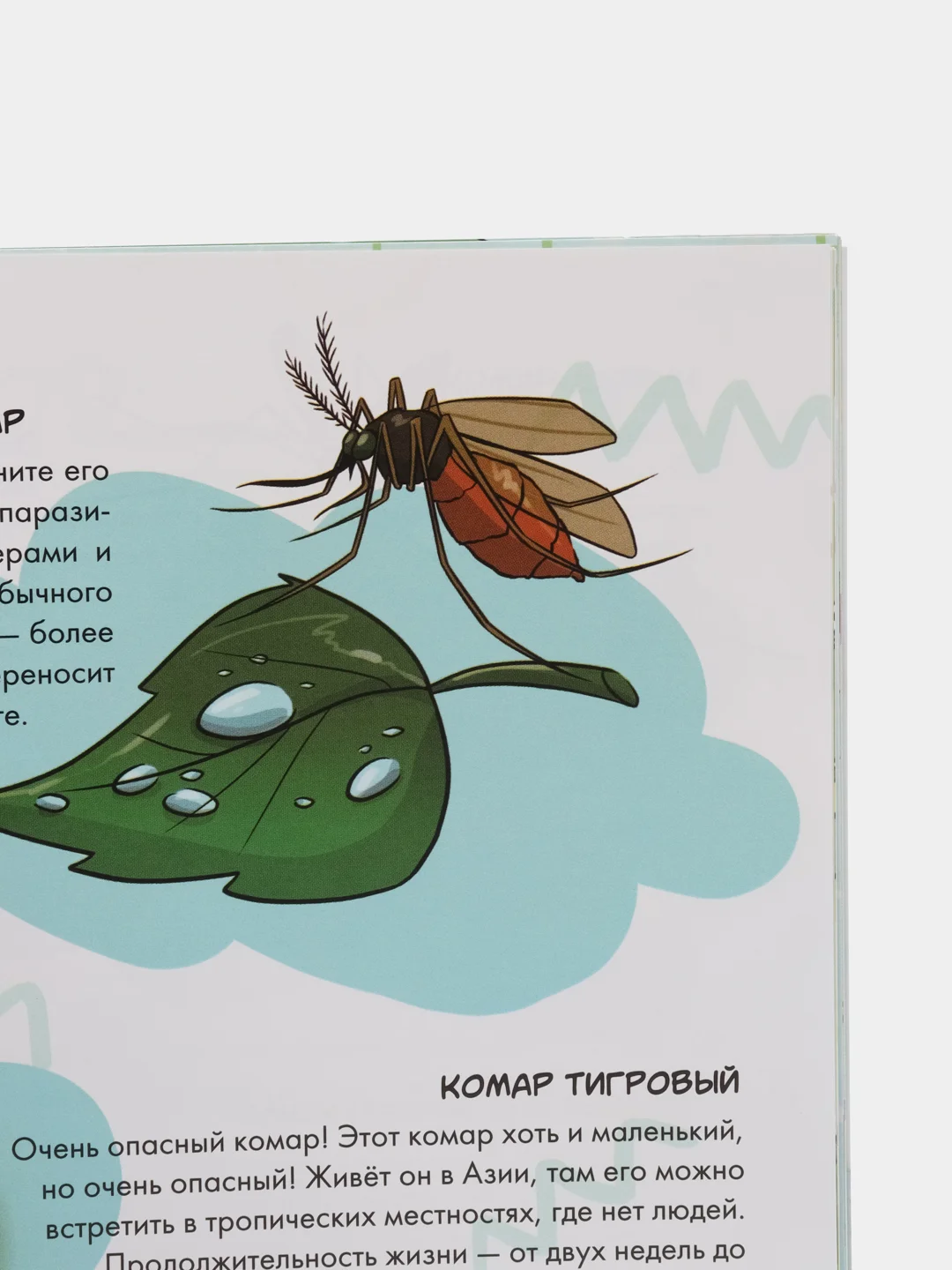 Книга "Комар - удивительное творение Аллаха"