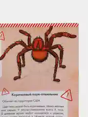 Книга "Паук - удивительное творение Аллаха"