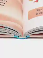 Книга "Невыдуманные герои. Я люблю сподвижников"