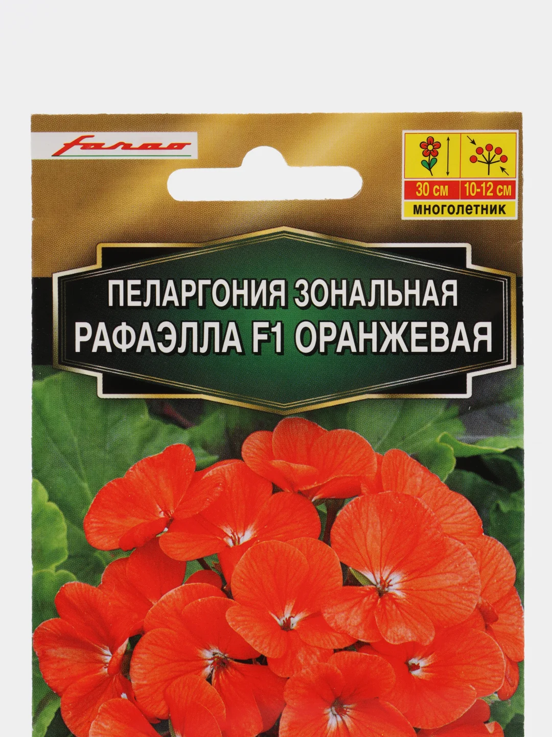 Семена, Пеларгония Рафаэлла оранжевая, 5 шт