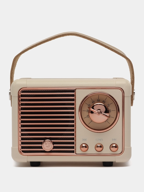 Колонка портативная с блютуз, Fm, USB, Bluetooth