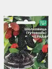 Шелковица (тутовник) Чёрная (семена,цветы)