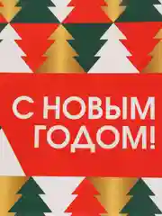 Разноцветный пакет подарочный новогодний, разные размеры, 18 вариантов