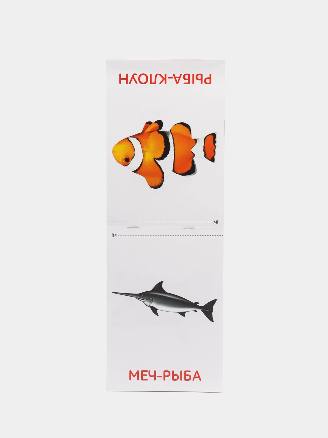 Карточки Домана, развивающие, для новорожденных детей