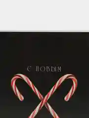 Коралловый открытки "С Новым Годом 2024"