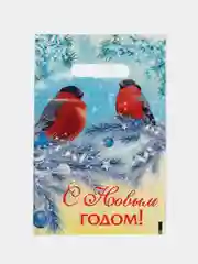 Светло-синий пакет подарочный новогодний, 20 х 30 см