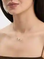 Колье "Кольца" со знаками зодиака, из серебра 925 пробы
