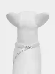 Серебряный ошейник колье для мелких пород собак