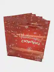 Алый пакет полиэтиленовый, новогодний, 2 размера