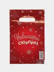 Алый пакет полиэтиленовый, новогодний, 2 размера