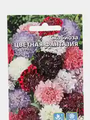 Скабиоза "Цветная Фантазия", семена, цветы