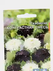 Скабиоза "Контрастная Смесь", семена, цветы