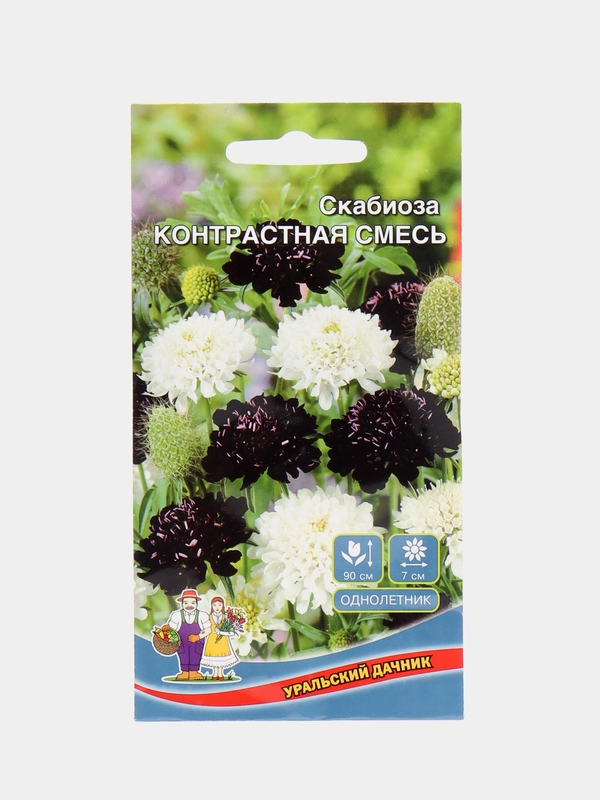 Скабиоза "Контрастная Смесь", семена, цветы