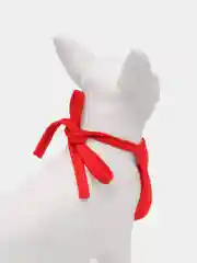 Красный новогодний костюм для кошек и собак, шапка и слюнявчик