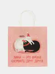 Коралловый новогдний подарочный пакет