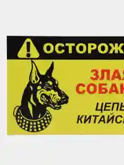 Багровый табличка ПВХ "Осторожно злая собака", 18 х 29 см