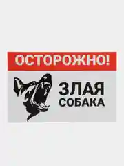 Бирюзовый табличка ПВХ "Осторожно злая собака", 18 х 29 см