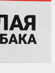 Белый табличка ПВХ "Осторожно злая собака", 18 х 29 см
