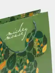 Зеленый подарочный пакет, ламинированный "Микки Маус", 30 х 30 х 12 см
