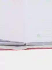 Красный блокнот  с ручкой, "Авокадо","Мишки","Единороги", "Кактусы, "Куколки""