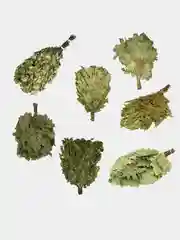 Веник для бани березовый, дубовый, кленовый, липовый, эвкалиптовый