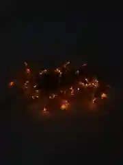 Желтый гирлянда новогодняя, 10 метров 220V