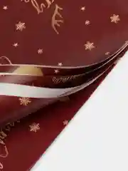 Бордовый бумага новогодняя, упаковочная, 70 х 100 см, "новый год 2025 - год змеи"