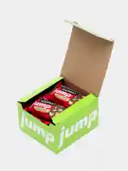 Вишнёвый протеиновый щербет JUMP.BIO, без сахара, 300 г