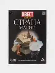 Медный квест игра-книга, Новогодний квест по поиску подарка
