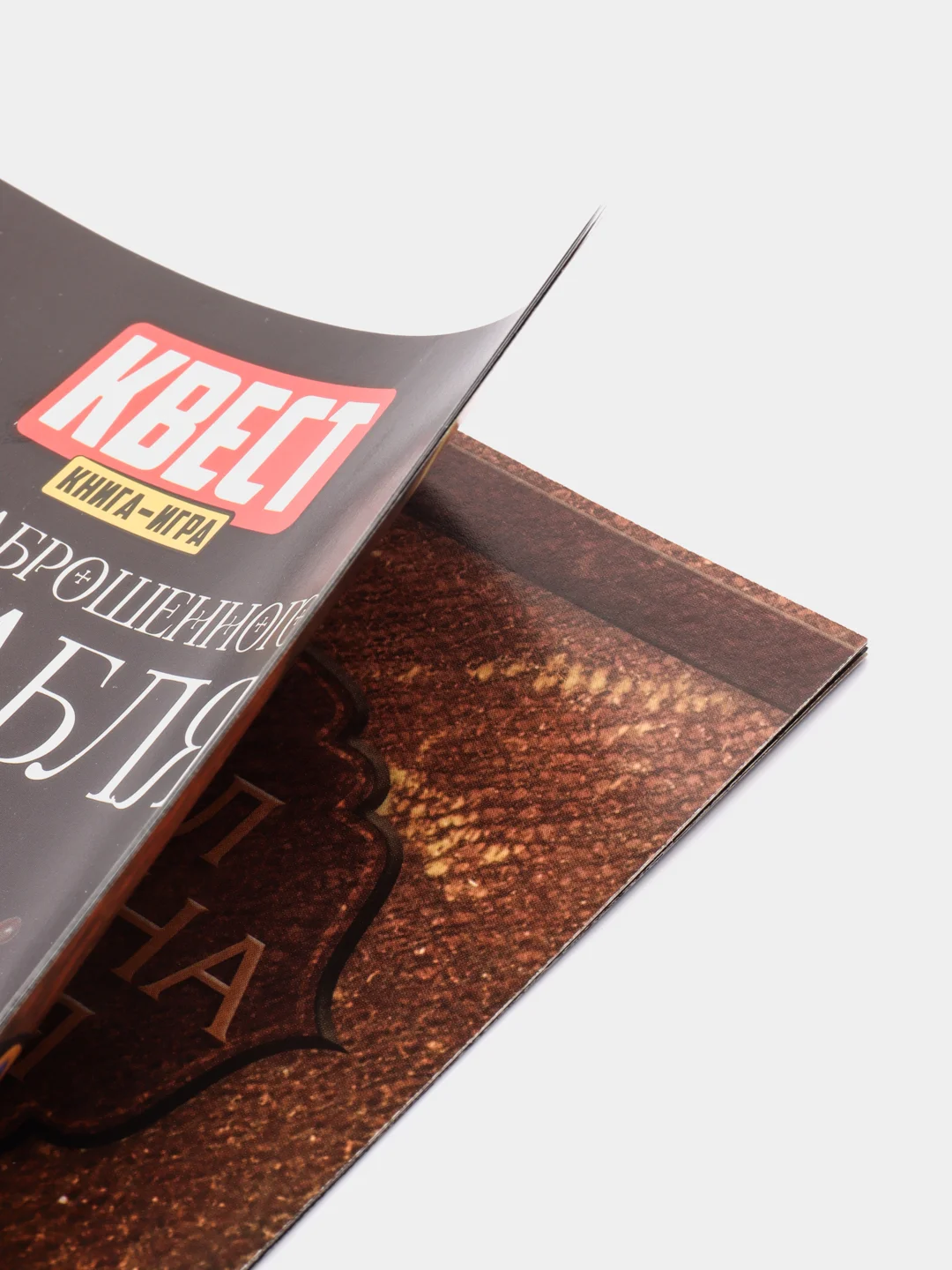 Черный квест игра-книга, Новогодний квест по поиску подарка