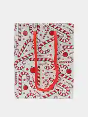 Коралловый подарочный новогодний пакет, 12 x 15 х 5,5 см