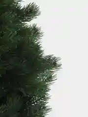 Сосна искусственная