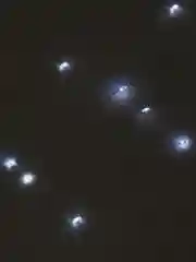 Белый гирлянда штора-занавес, 8 режимов, 2 х 3 м, кабель 3 м