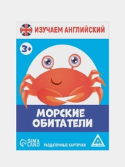 Обучающие карточки "Изучаем английский", 12 тем, 3+