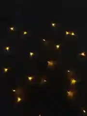 Гирлянда штора, 1,5 х 1,5 м, занавес на окно